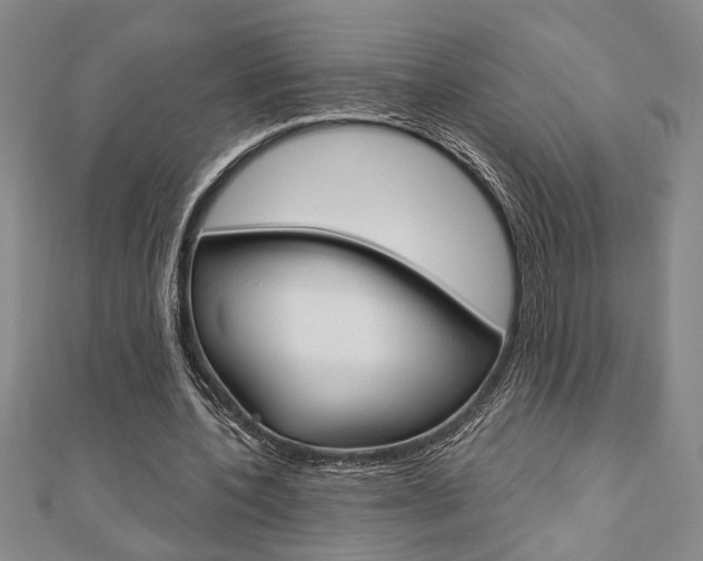 X0000110960532200906191051
