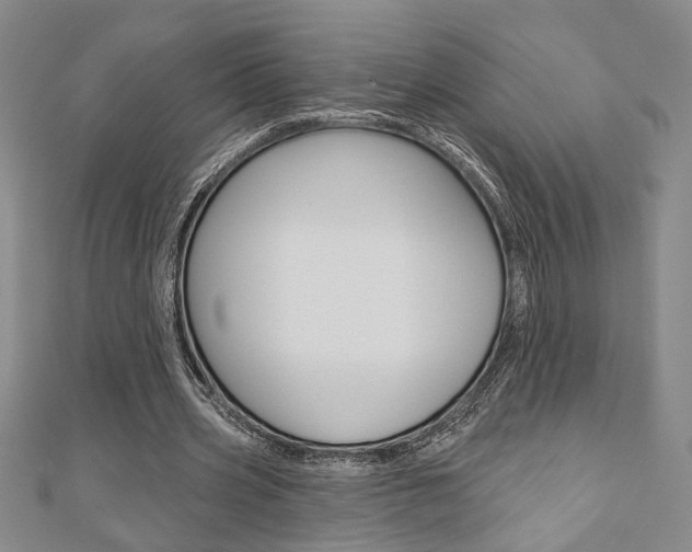 X0000110960533200906191051