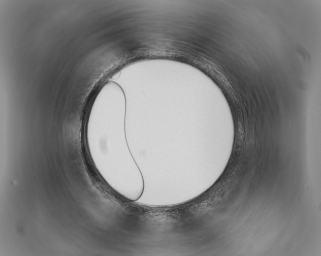 X0000110960534200906191051