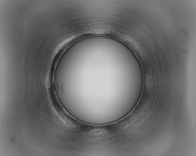 X0000110960536200906191051