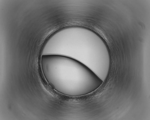 X0000110960538200906191051