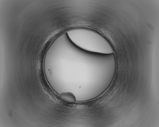 X0000110960539200906191051