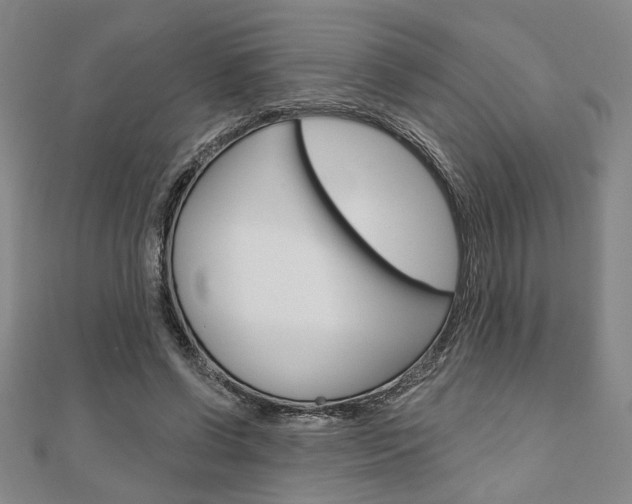 X0000110960542200906191051