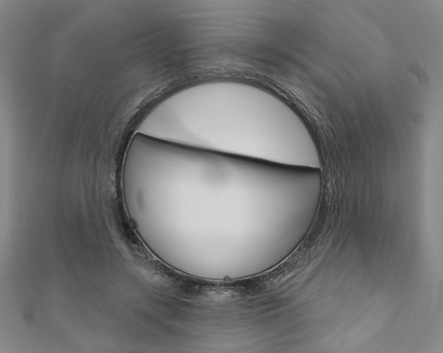X0000110960547200906191051