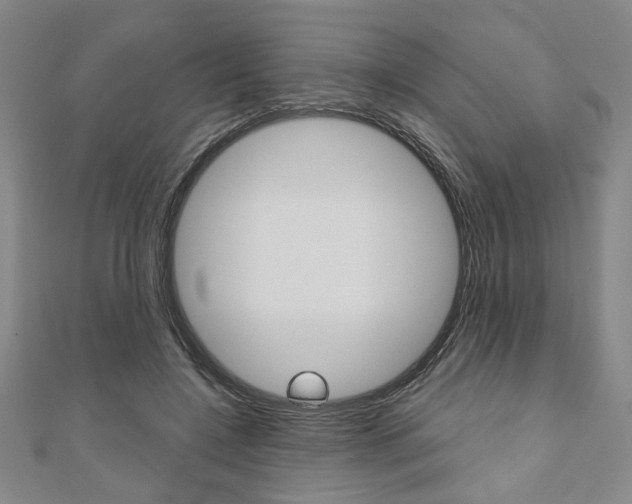 X0000110960548200906191051