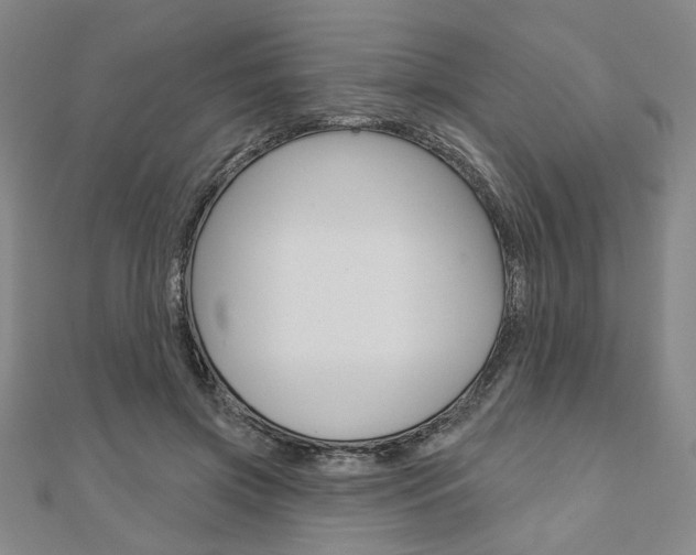 X0000110960549200906191051