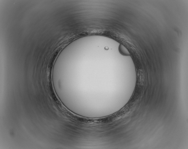 X0000110960550200906191051