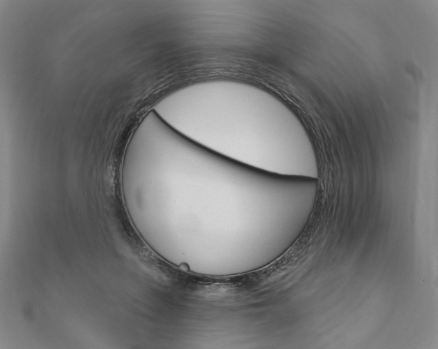 X0000110960551200906191051