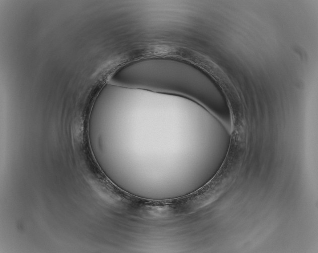 X0000110960552200906191051
