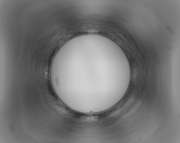 X0000110960553200906191051