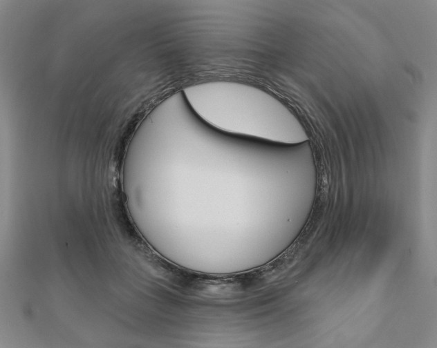 X0000110960555200906191051