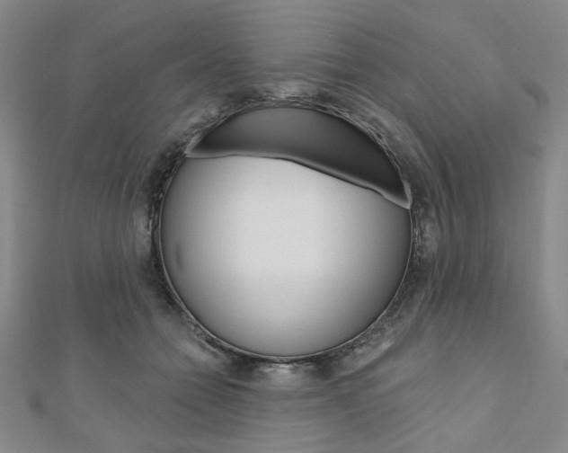 X0000110960558200906191051