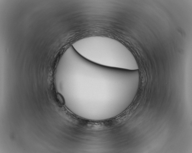X0000110960559200906191051