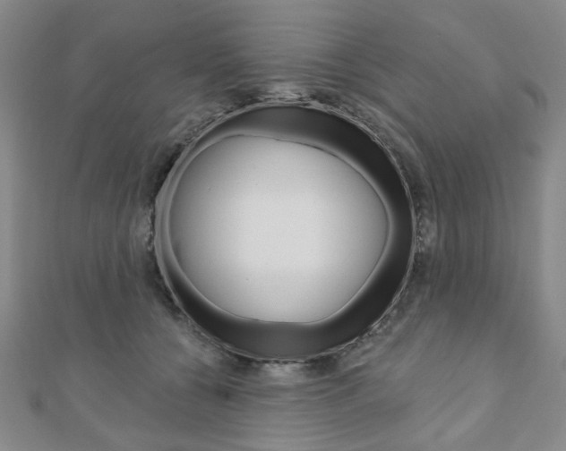 X0000110960560200906191051