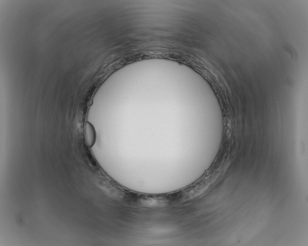 X0000110960561200906191051