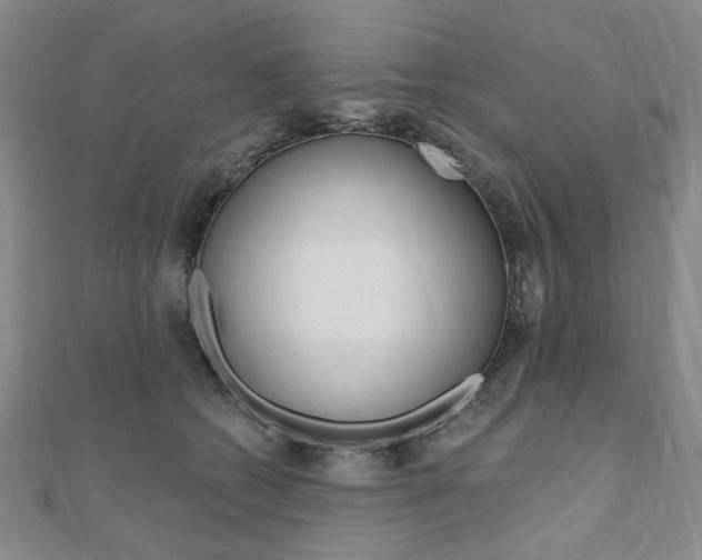X0000110960562200906191051