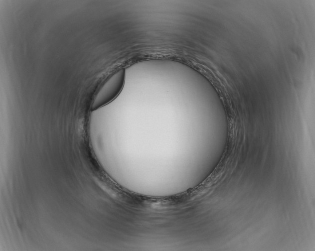 X0000110960564200906191052
