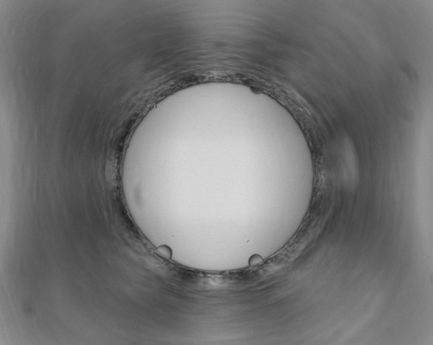 X0000110960565200906191052