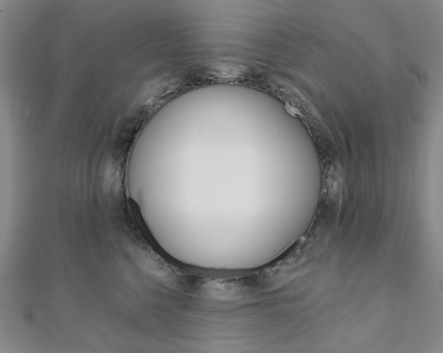 X0000110960568200906191052