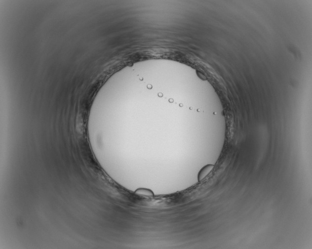 X0000110960569200906191052