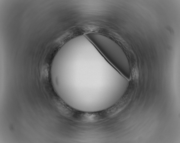 X0000110960570200906191052