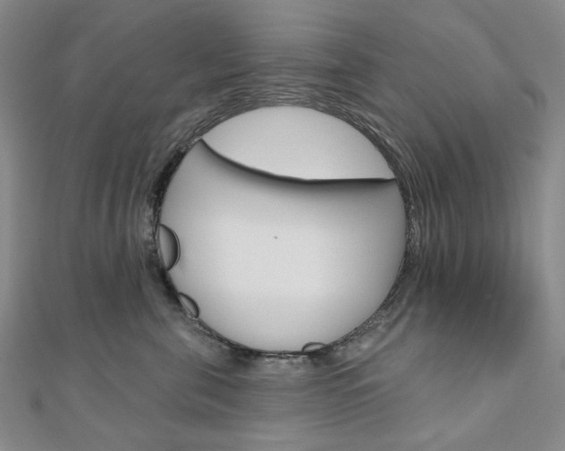 X0000110960571200906191052