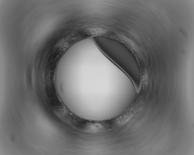 X0000110960572200906191052