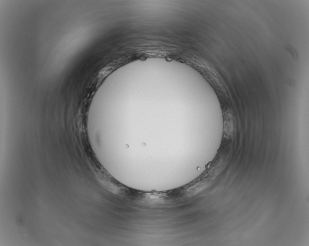 X0000110960573200906191052