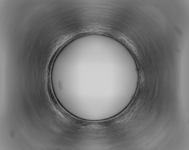 X0000110960578200906191051