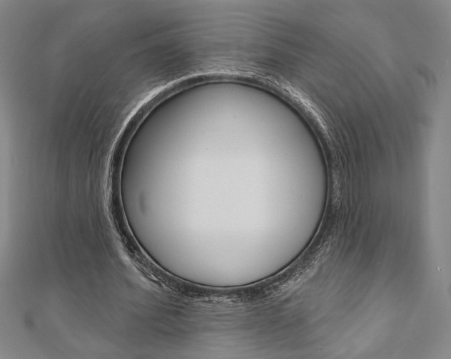 X0000110960580200906191051