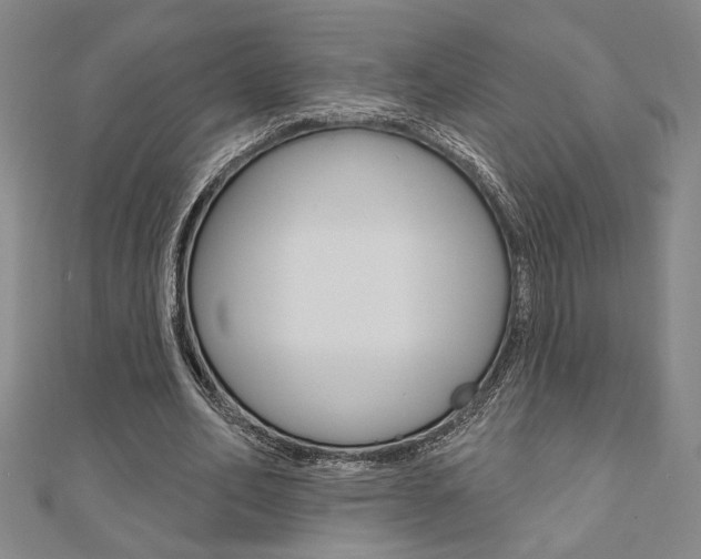 X0000110960582200906191051