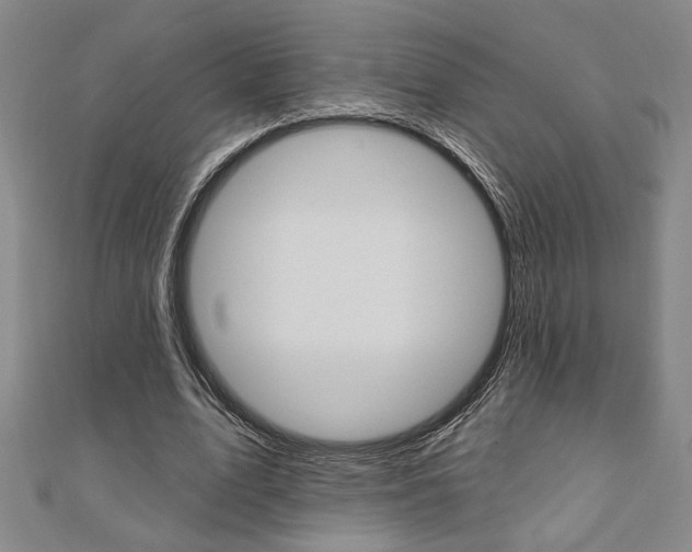 X0000110960583200906191051