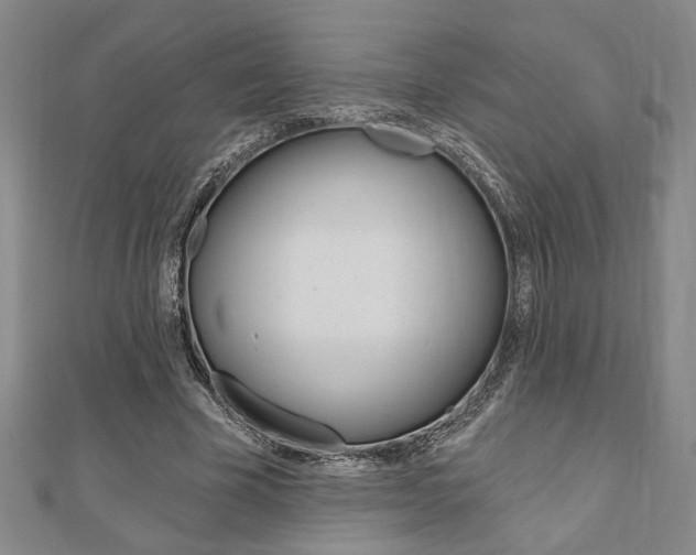 X0000110960585200906191051