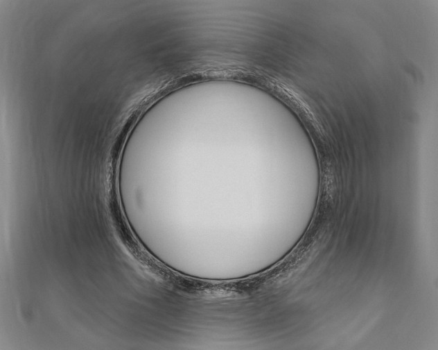 X0000110960586200906191051
