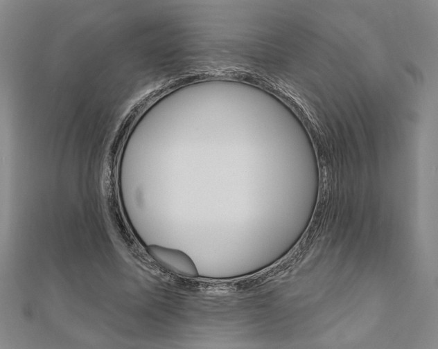 X0000110960587200906191051