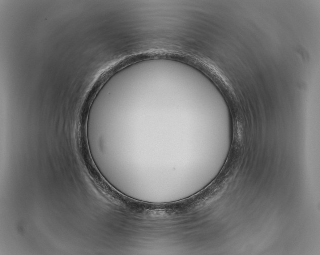 X0000110960588200906191051