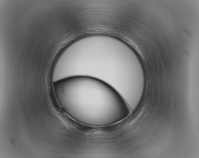 X0000110960589200906191051