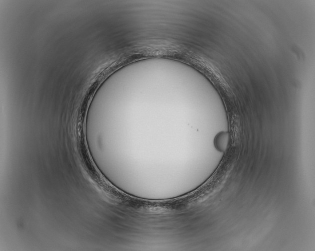 X0000110960590200906191051