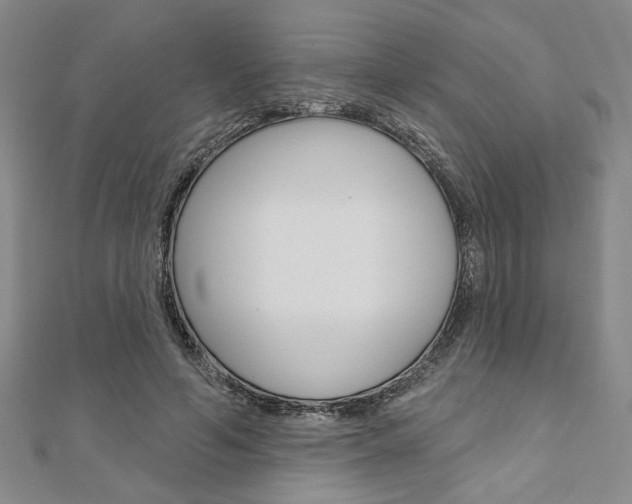 X0000110960594200906191051