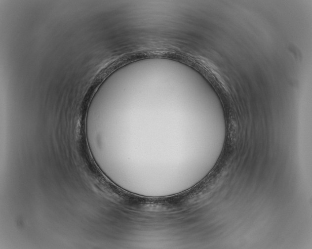 X0000110960596200906191051