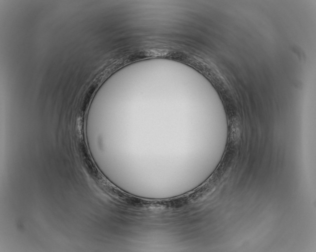 X0000110960598200906191051