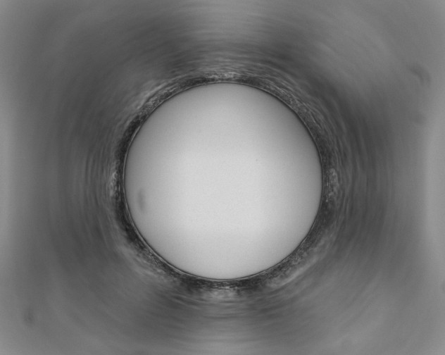 X0000110960600200906191051