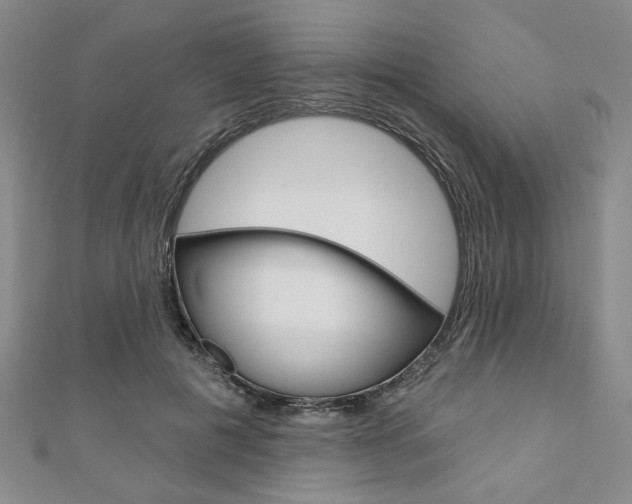 X0000110960601200906191051