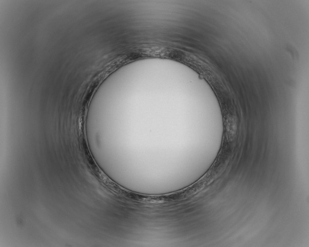 X0000110960602200906191051