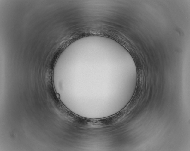 X0000110960603200906191051