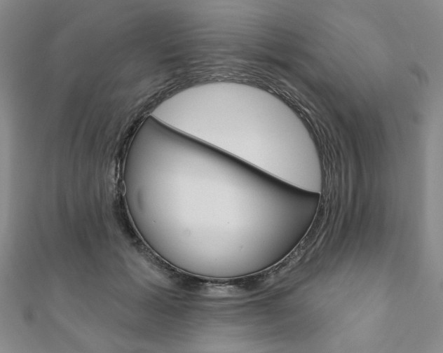 X0000110960605200906191051