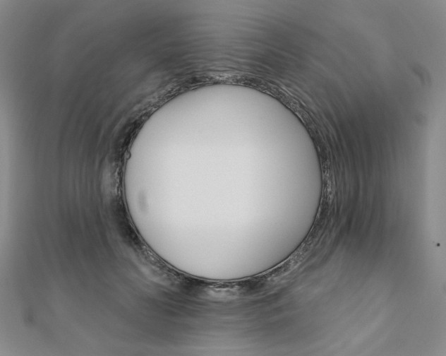 X0000110960606200906191051