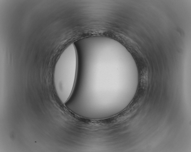 X0000110960608200906191051