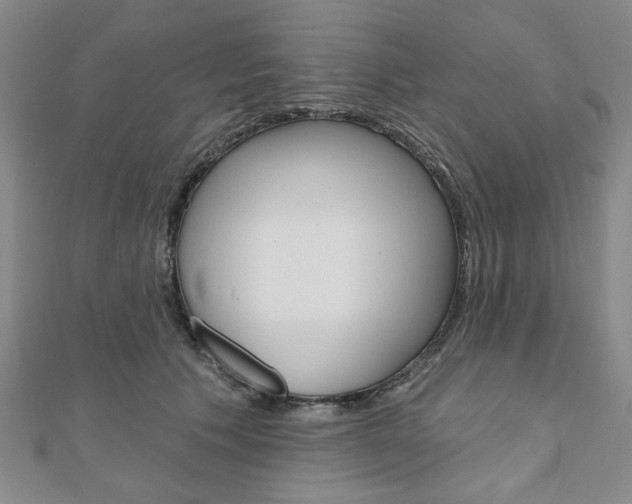X0000110960609200906191051