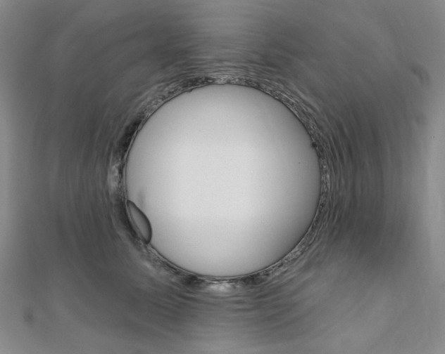 X0000110960611200906191051